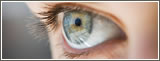Close up of green eye